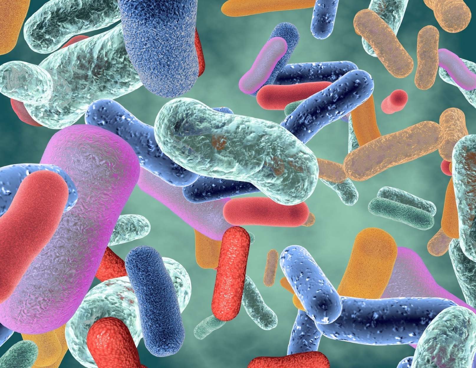 microbiote l'art de la détox