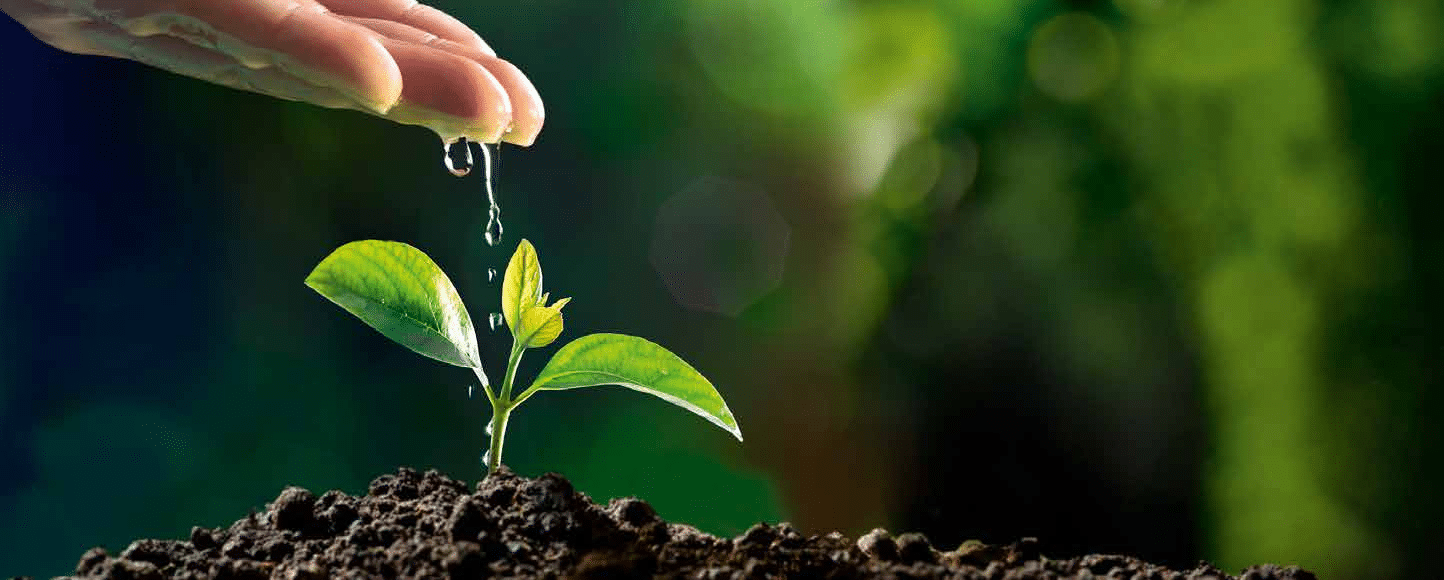 vers une transition alimentaire jeûne en harmonie