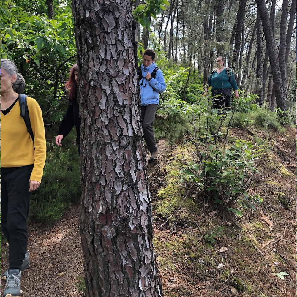 Balades Bernugat séjour de jeûne La Gicquelais