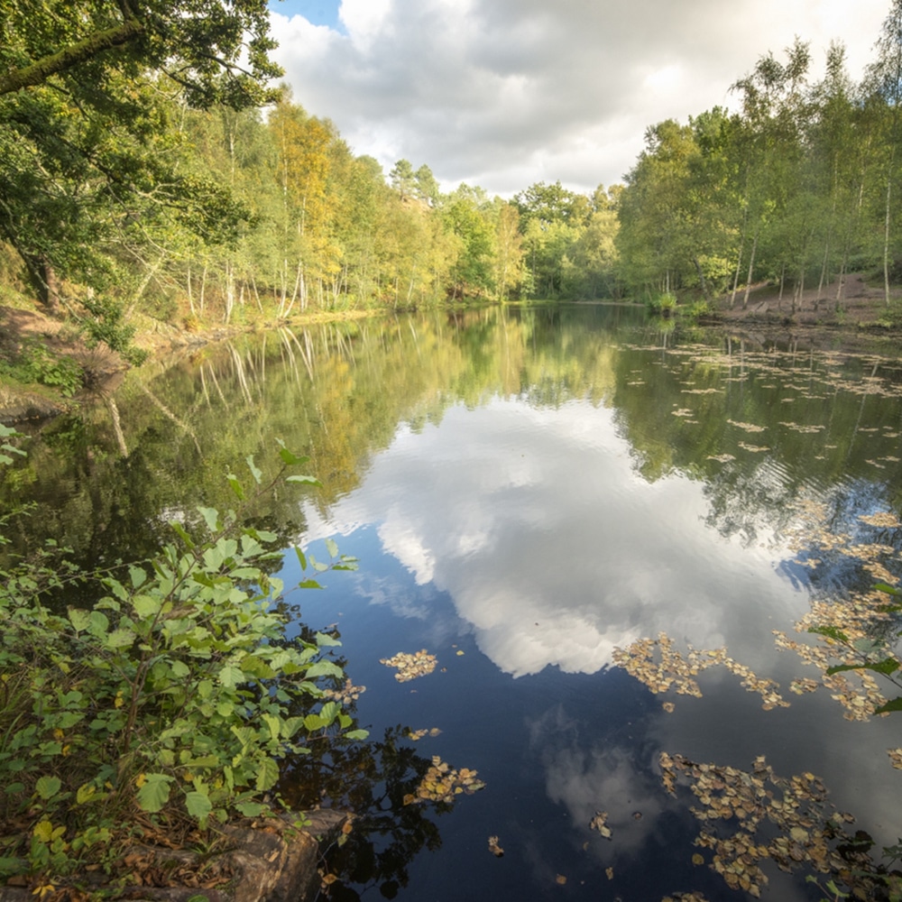 broceliande_miroir-aux-fees