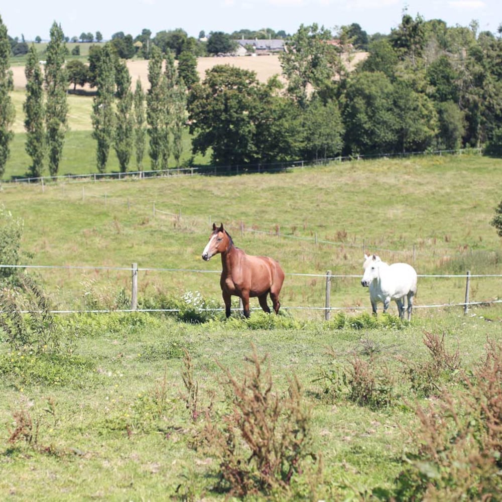 patures-la-hulotte