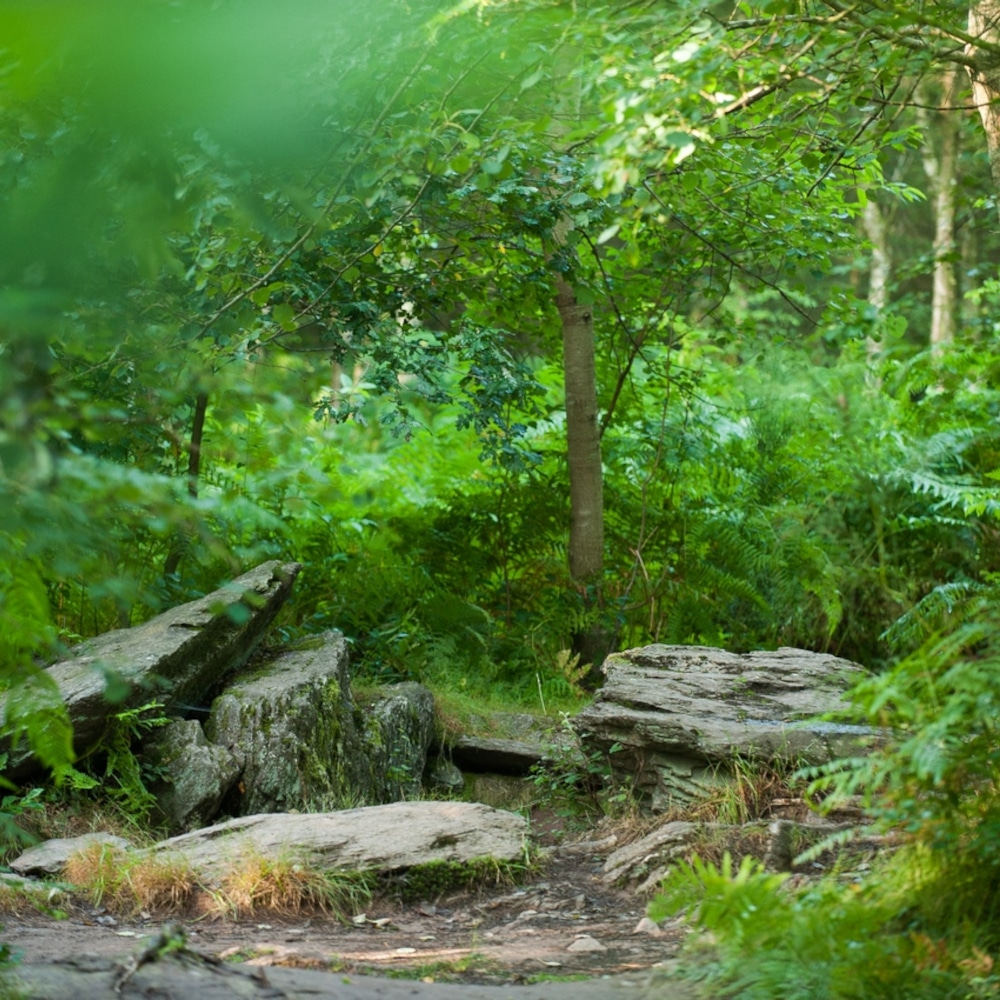 broceliande-tombeau-des-geants