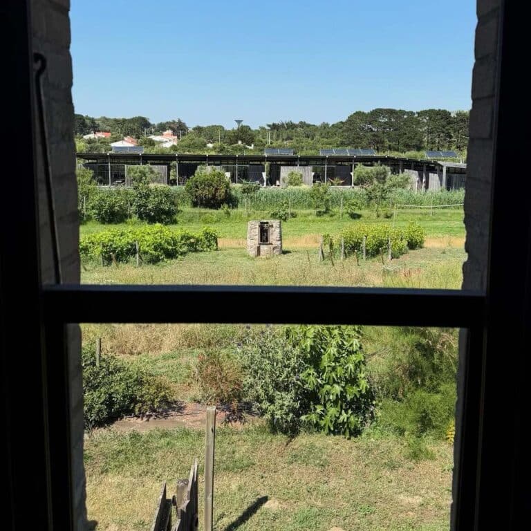 vue depuis la chambre de l'écolodge de la ferme du marais girard des séjours de jeûne en harmonie