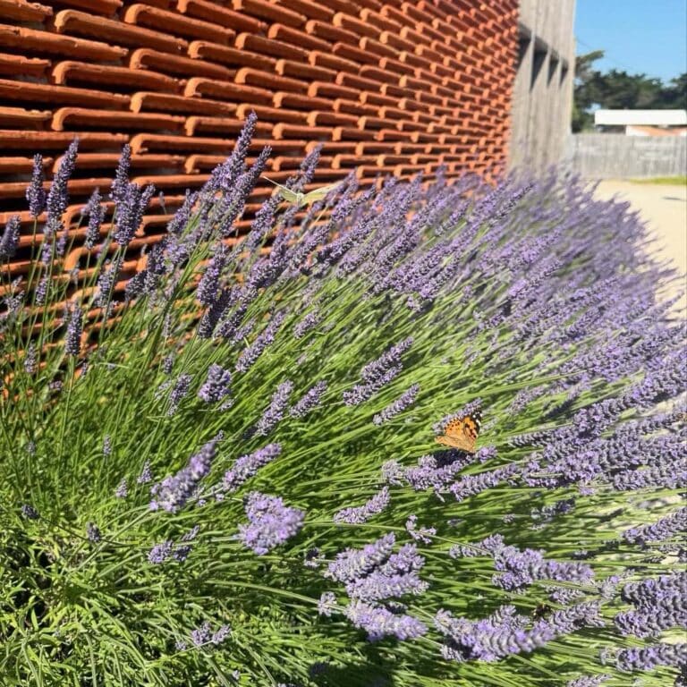 Ecolodge de la ferme du Marais Girard, le séchoir, séjour de jeûne en harmonie