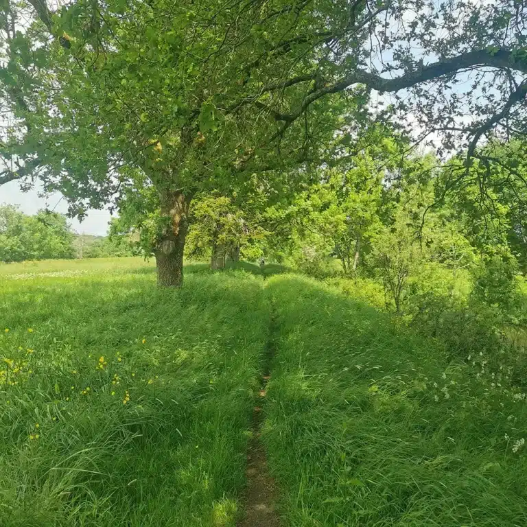 randonnées en campagne séjour de jeûne en harmonie