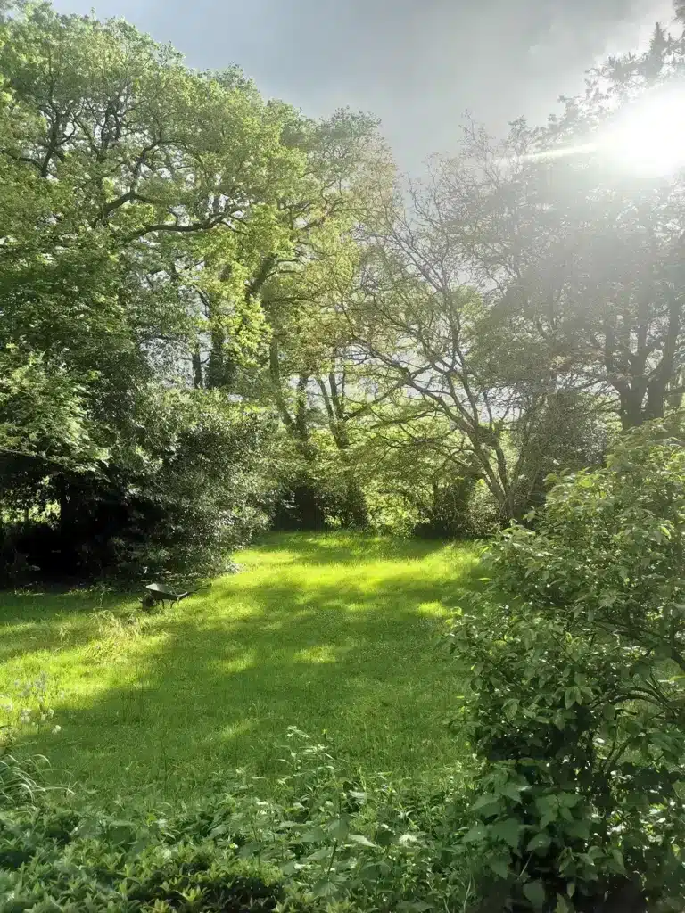 Jardin de Ménigo Jeûne en harmonie