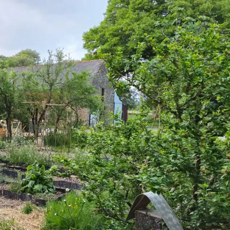 Jardin médicinal du centre bien-être le temps du coeur