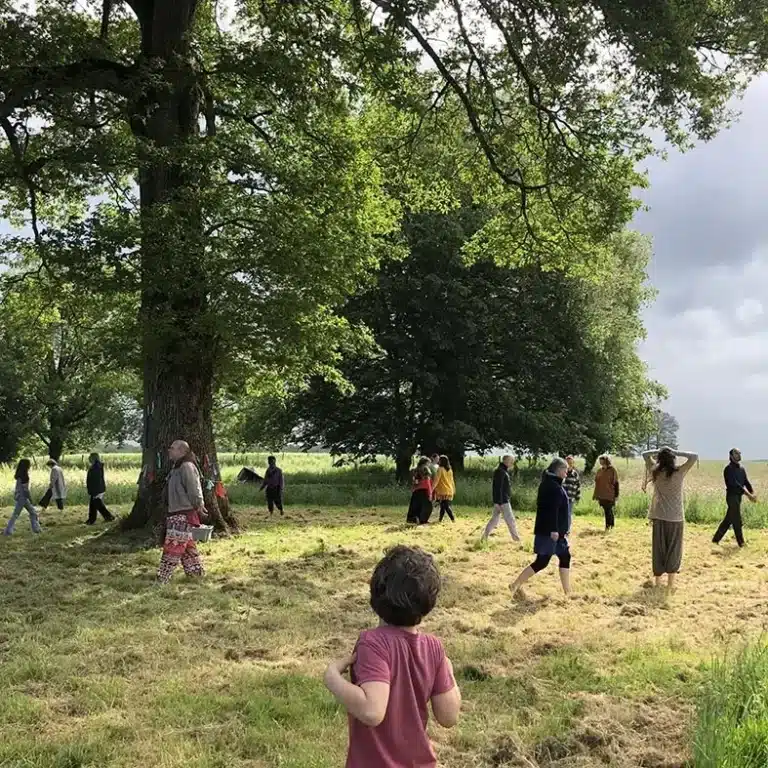 jeûne et forêt en Bretagne