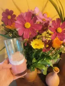 cure de jus jeûne en harmonie