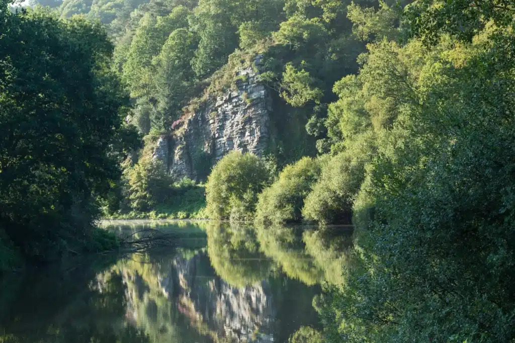 Rivière entourée de forêt et falaise rocheuse