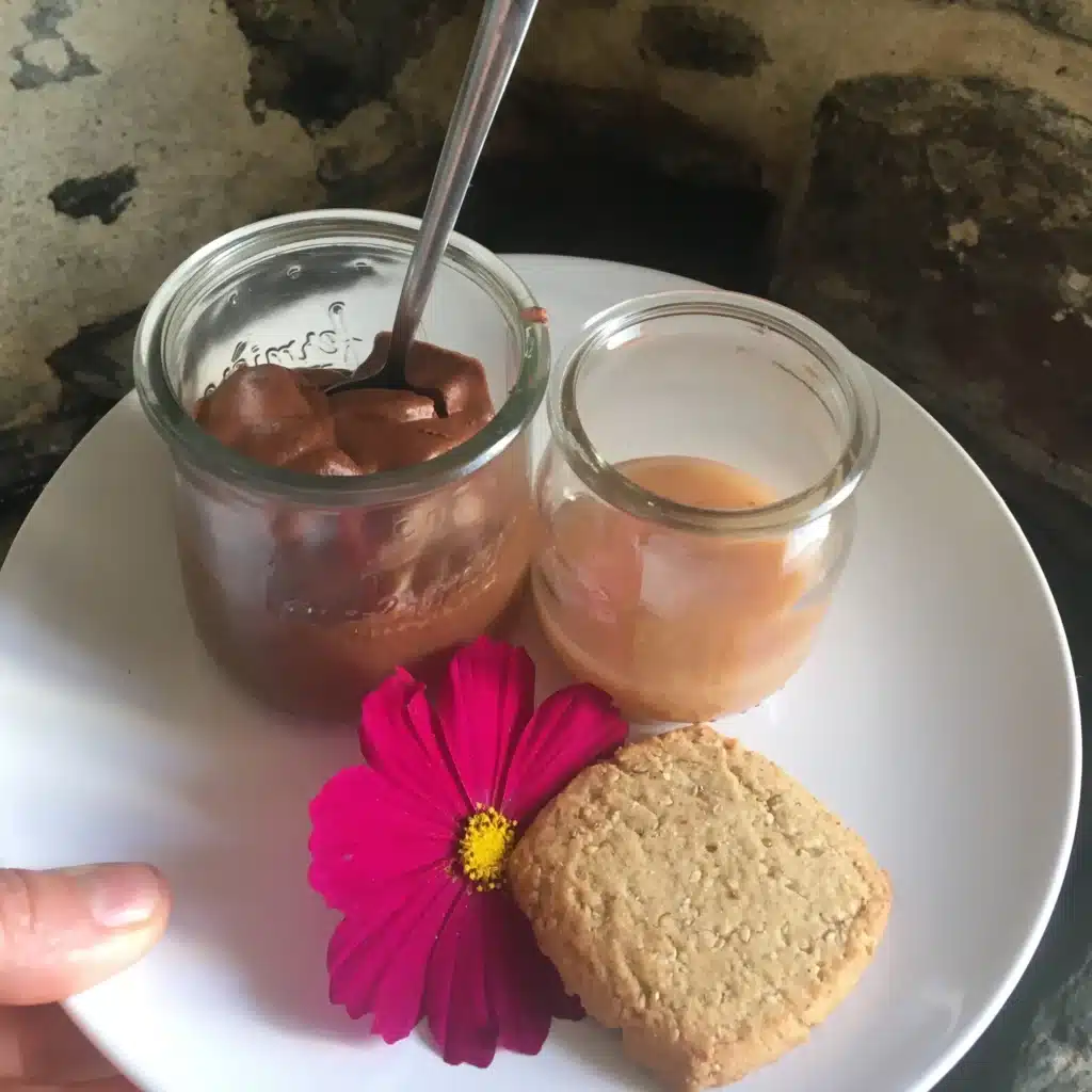 mousse chocolat végan alimentation santé marie périn naturopathe