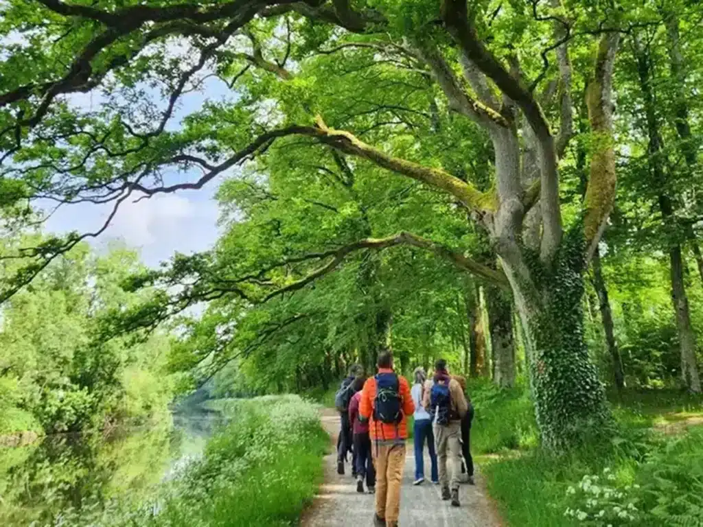 Groupe de randonneurs sous arbres verts - séjour détox Bretagne - séjour de jeûne et randonnée