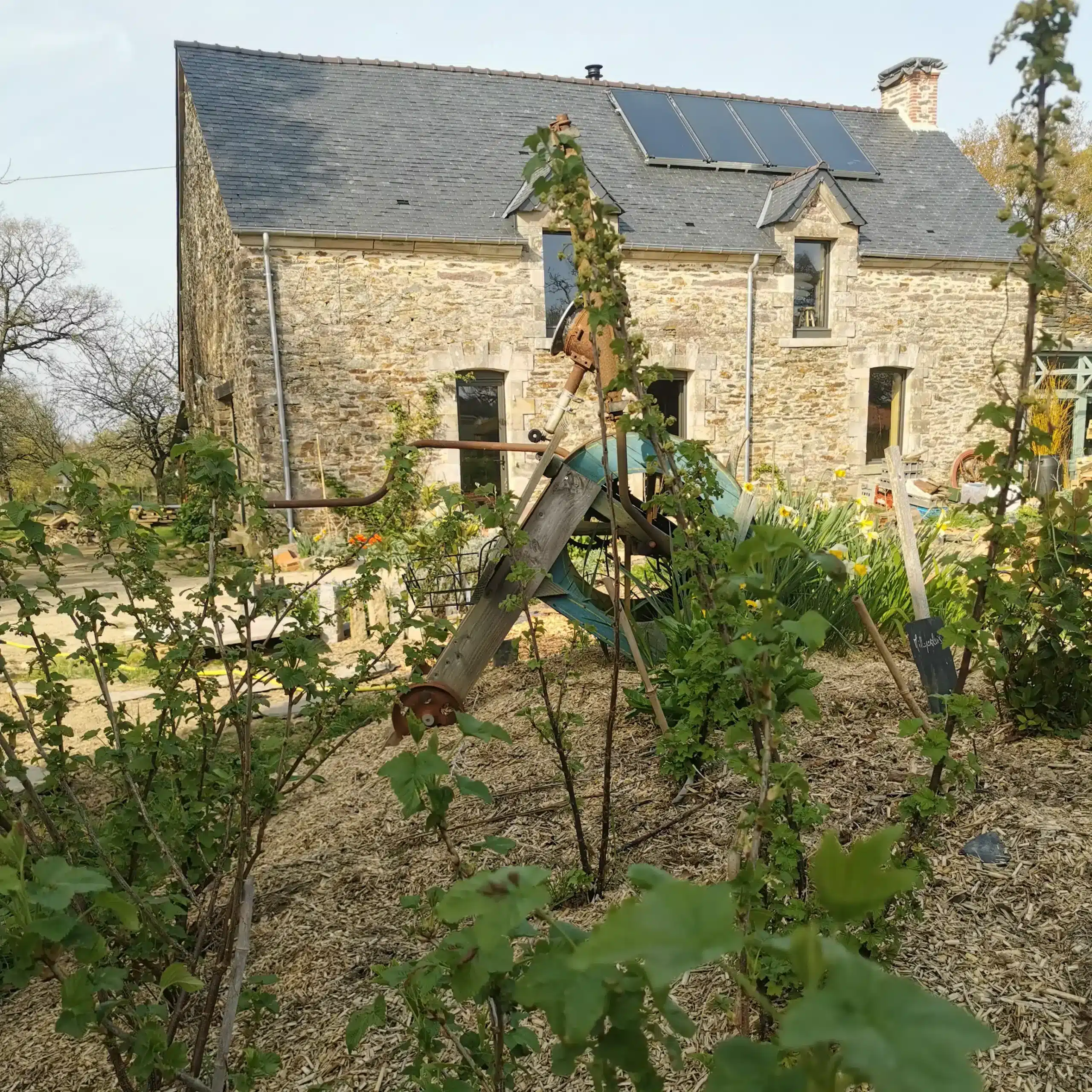 maison le temps du coeur jeûne 3 jours