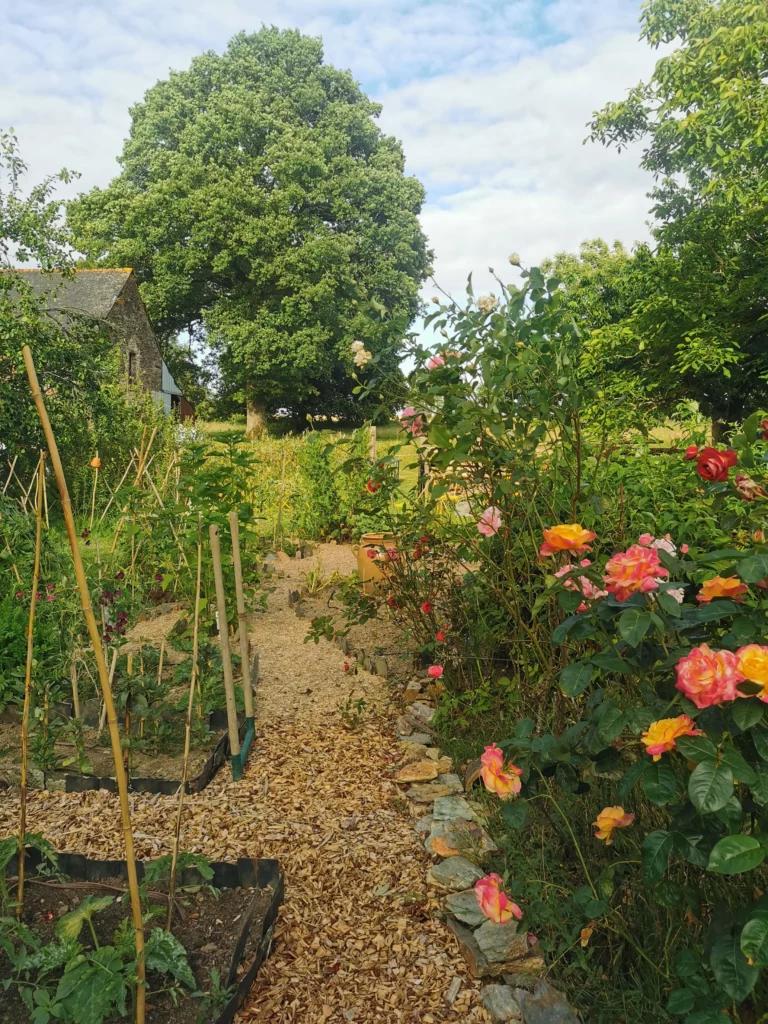 jardin medicinal gîte le temps du coeur jeûne 3 jours