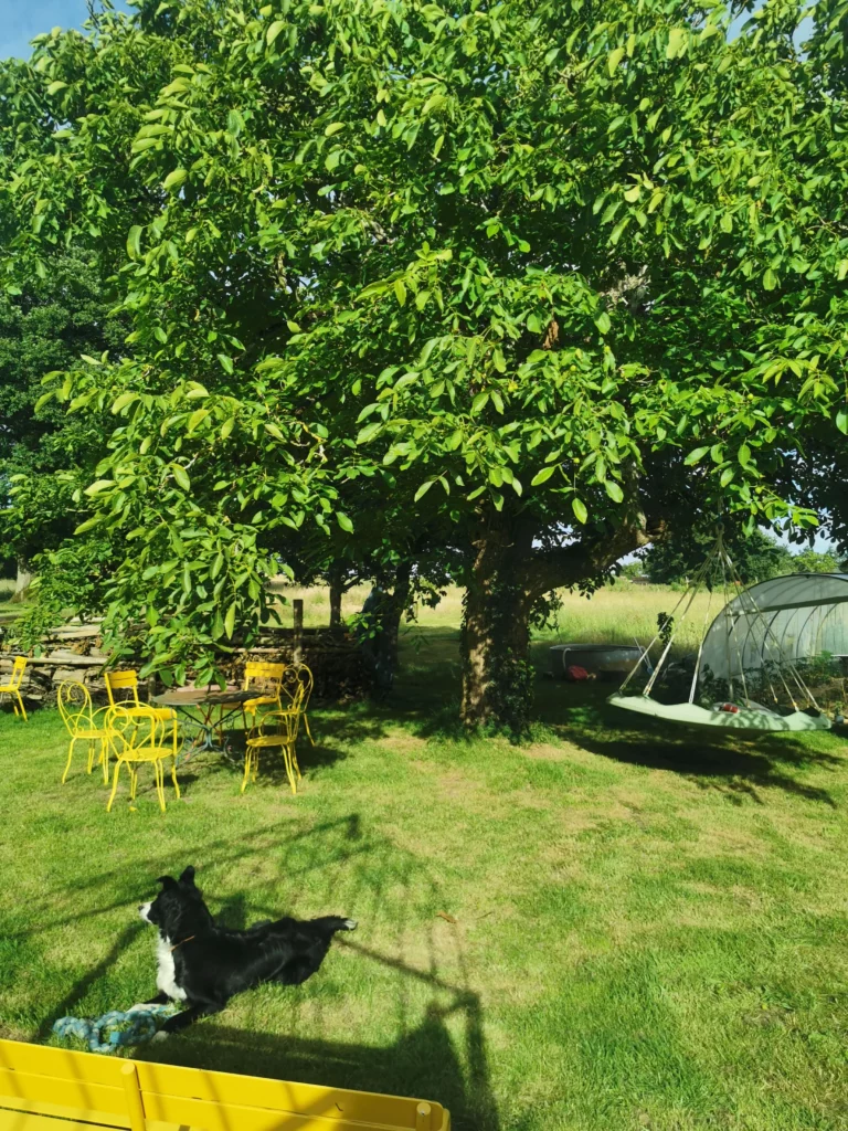 Jardin du gîte le temps du coeur jeûne de 3 jours