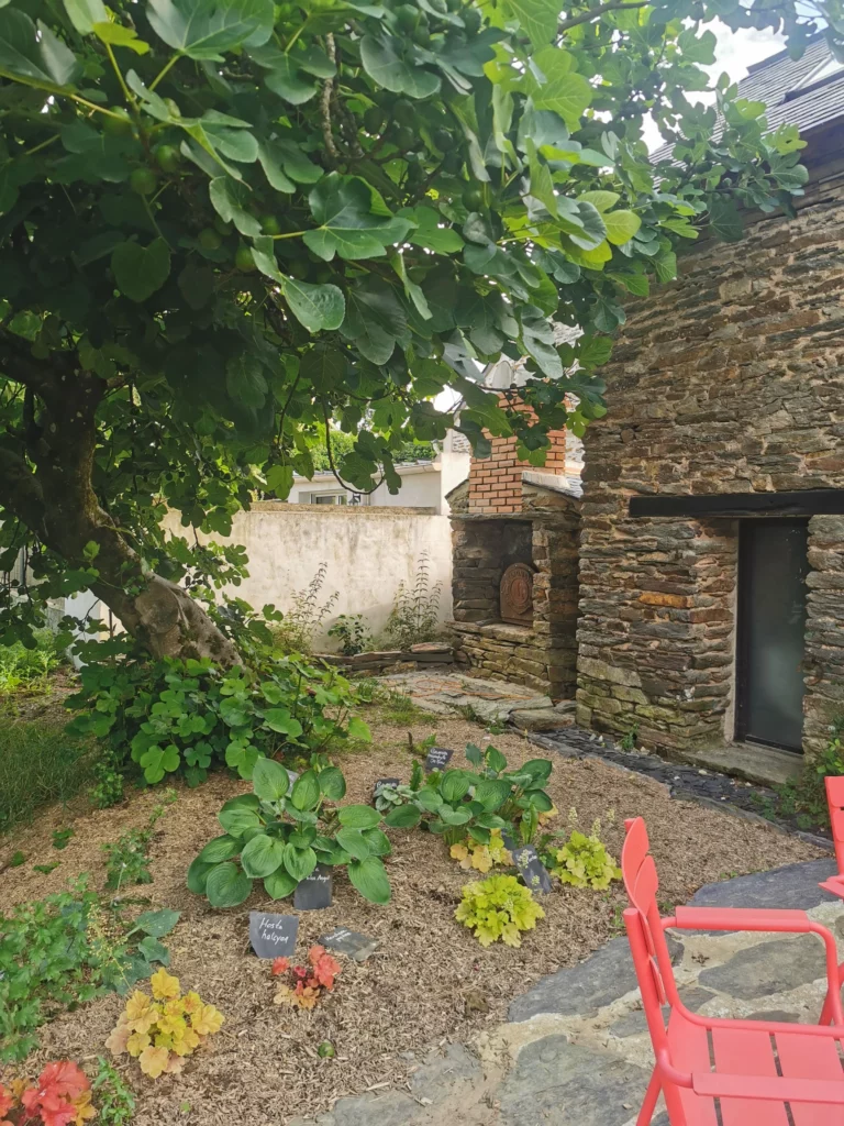 jardin ty-nid gîte le temps du coeur cuisine détox
